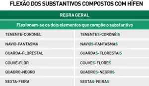 Flexão dos Substantivos Flexão dos Substantivos