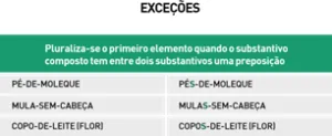Resumo de português - Exceções