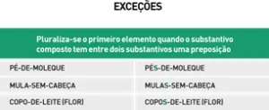 Resumo de português - Exceções Resumo de português - Exceções