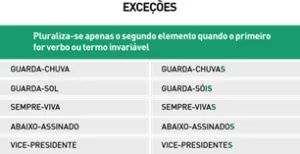 Resumo de português - Exceções Resumo de português - Exceções