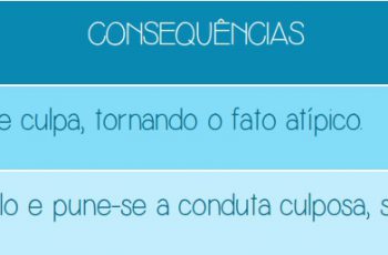 Erro de tipo incriminador