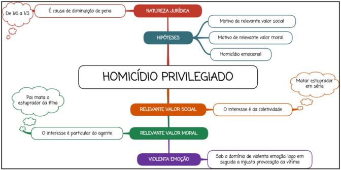 Homicídio Privilegiado