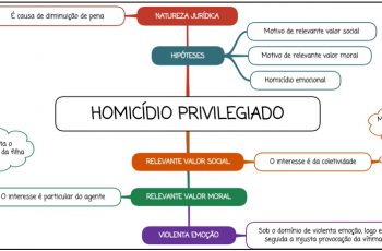 Homicídio Privilegiado