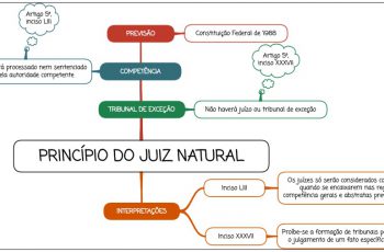Princípio do Juiz Natural - mapa mental