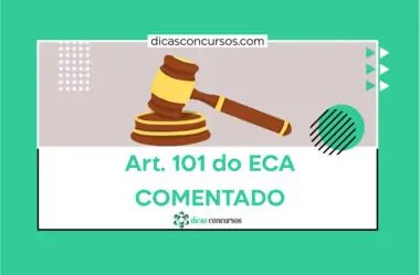 Art. 101 do ECA [COMENTADO]