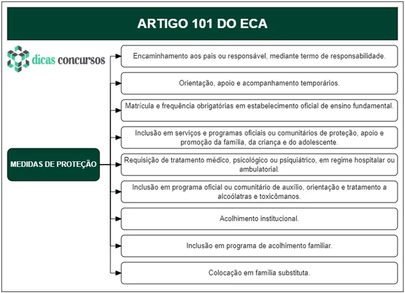 Art 101 do ECA - Comentado