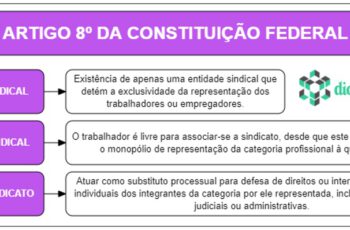 Art 8 da CF - Comentado e Esquematizado