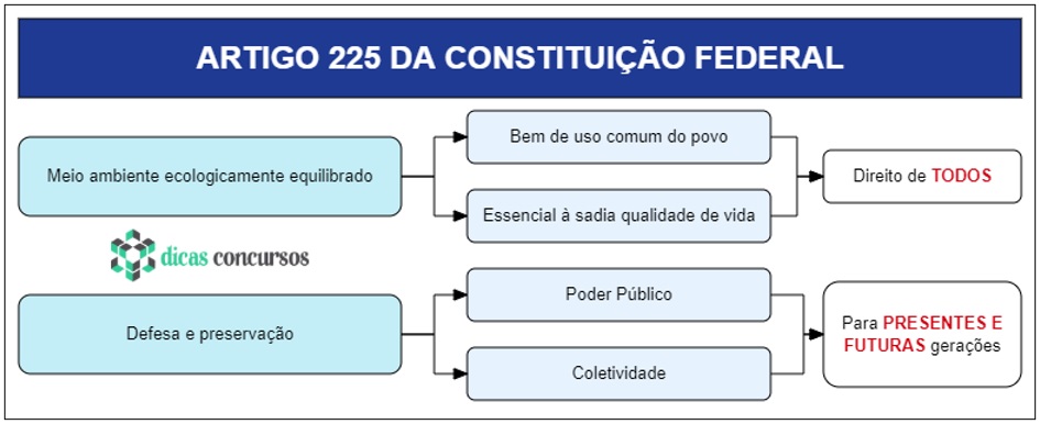 Art 225 da CF - Comentado