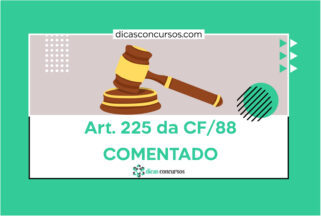Art 225 da CF