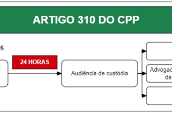 Art 310 do CPP - Comentado