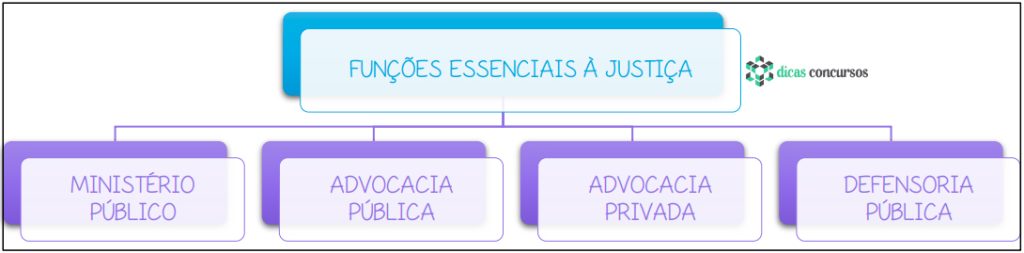 Visão geral - funções essenciais à justiça